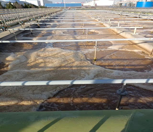 1654311339625087.png 圖片4.png