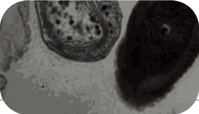 1656479432939886.png 1531731530885335.png