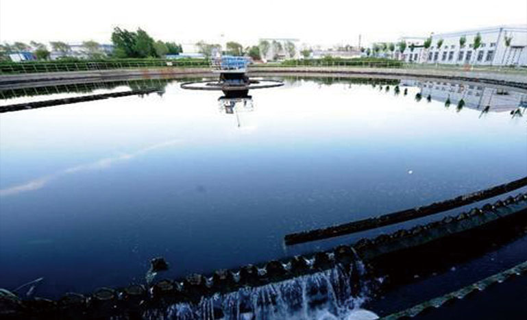 1656483305657644.jpg 1531723773186973.jpg