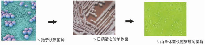 1656492805821264.jpg 1532490563214470.jpg